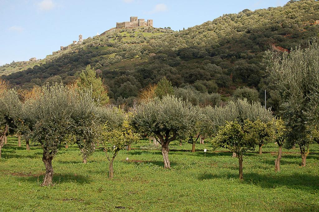 Monte Do Laranjal Hotel Monsaraz Kültér fotó